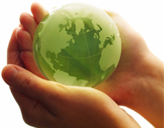 Sinclair Barnes Limited